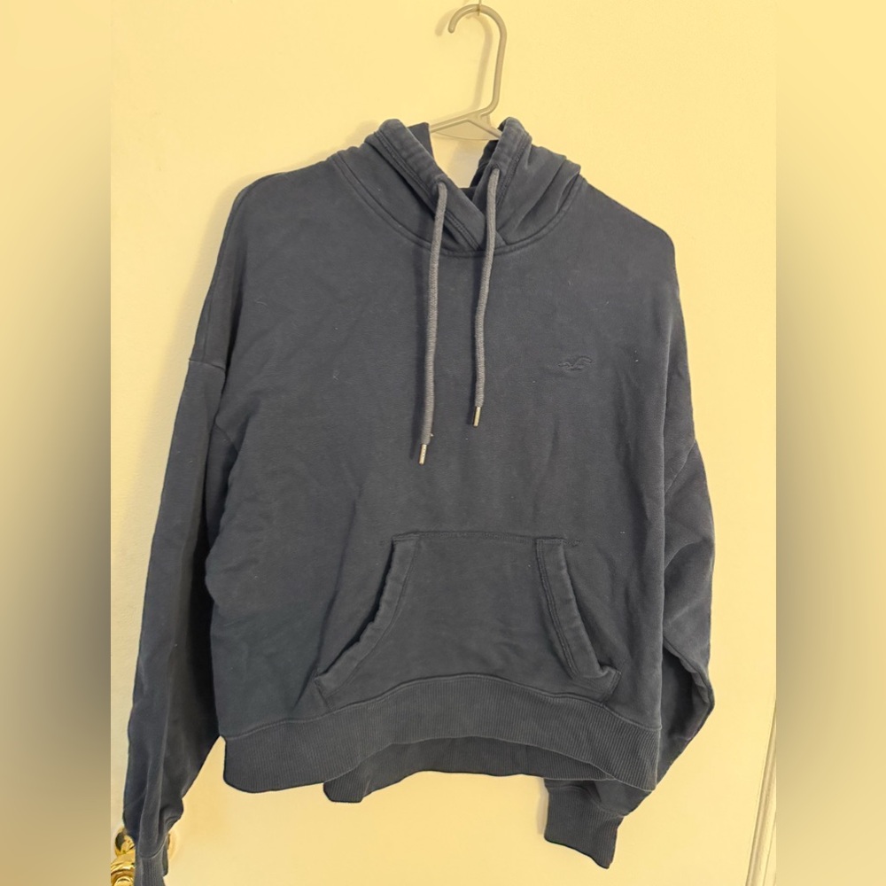 Hollister fleeced lined sweatshirt